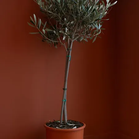 아파트 L'ecrin De La Pietonne 니스