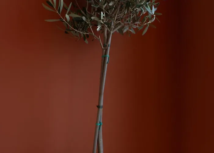 דירה L'ecrin De La Pietonne ניס